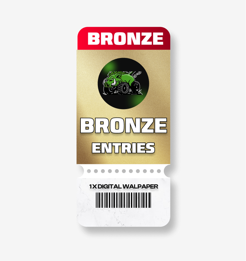 BRONZE DIGITAL ENTRY
