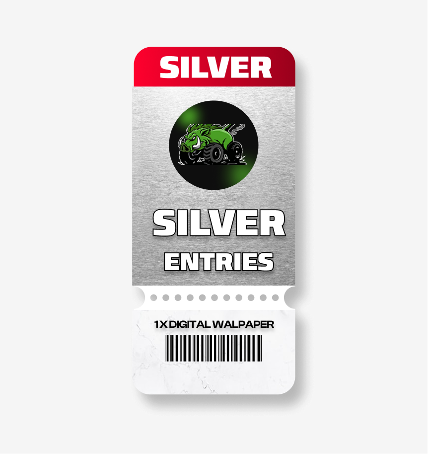 SILVER DIGITAL ENTRY