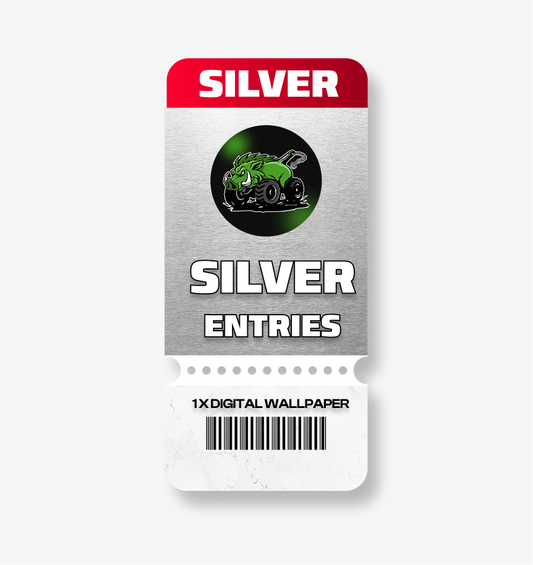 SILVER DIGITAL ENTRY