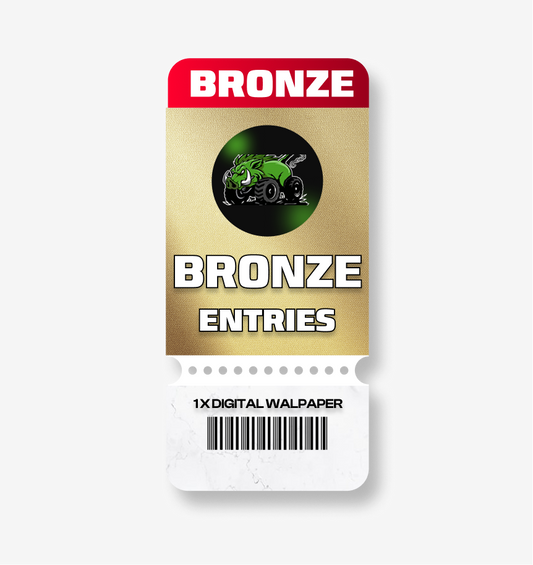 BRONZE DIGITAL ENTRY